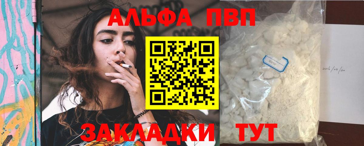 A PVP СК Новосибирск
