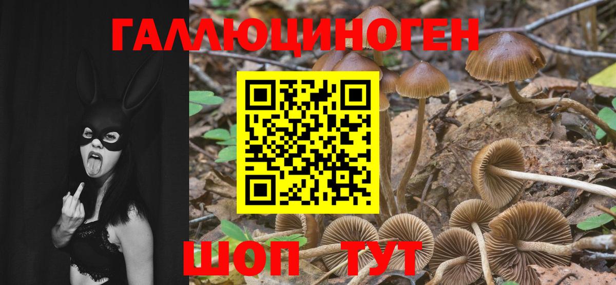 Новосибирск  Псилоцибиновые грибы мухоморы  Галлюциногенные грибы MAGIC MUSHROOMS  Вход с VPN 